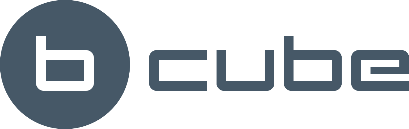 b-cube_logo-2013_blue