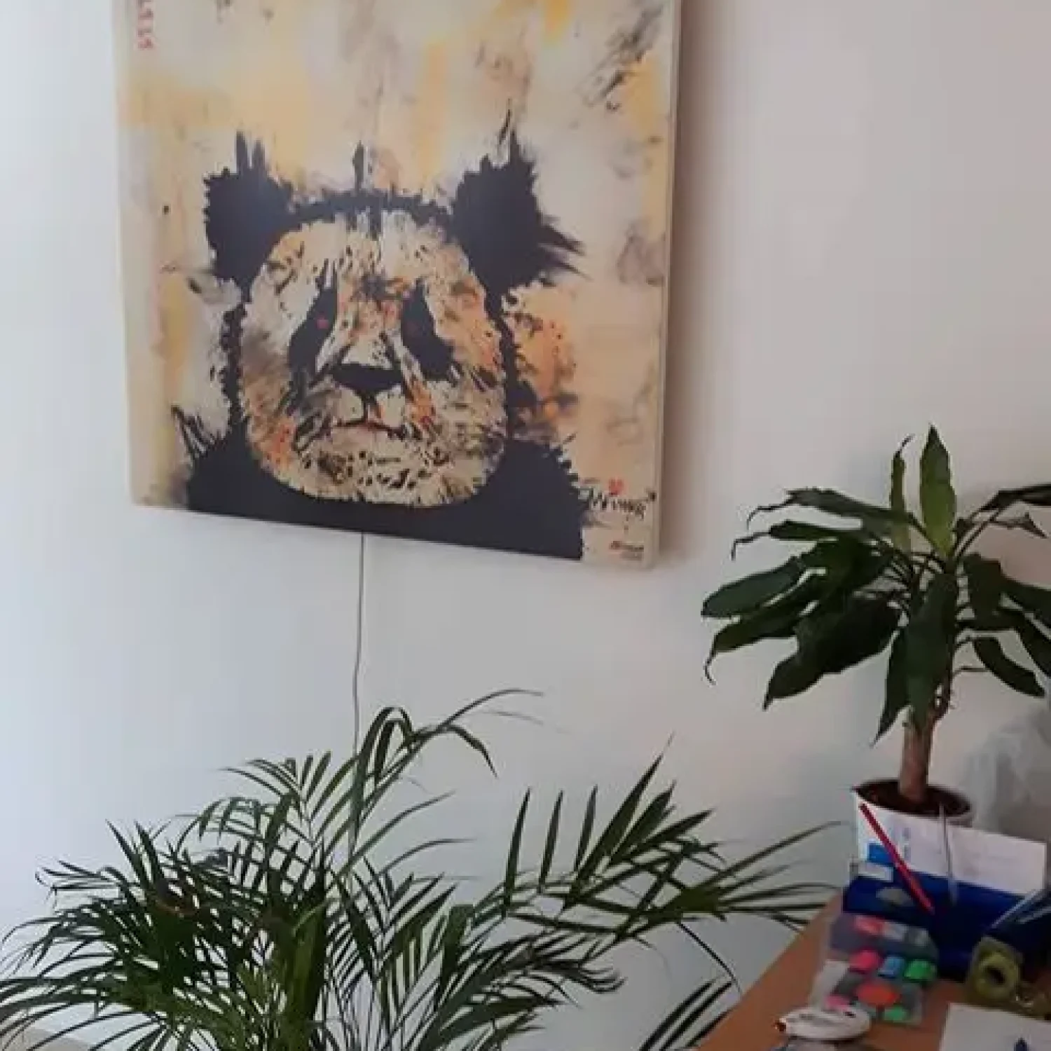bildheizung-panda-buero-redwell